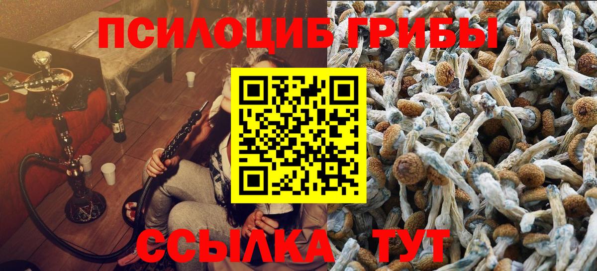 Галлюциногенные грибы Magic Shrooms Усть-Илимск
